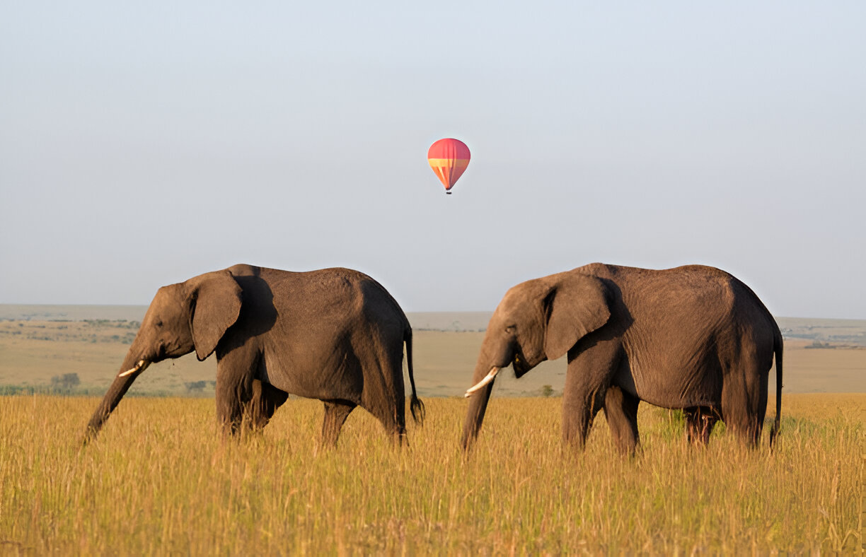 2026 - 2027 Best Tanzania Safaris and Tours from 2025